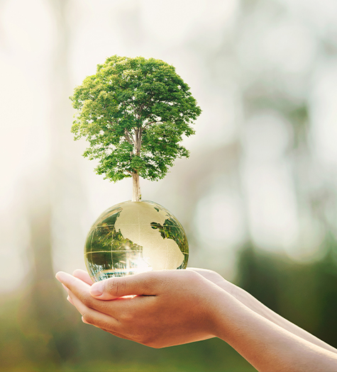 environment-1 environment-1